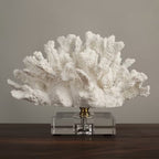 Lureto White Reef Sculpture